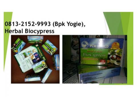 Jual Obat Herbal Biocypress