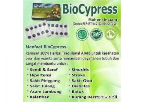 Obat Herbal BioCypress Alami