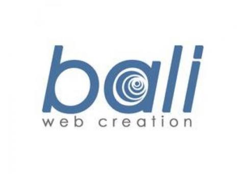 Jasa Web Design dan Optimasi SEO di Bali