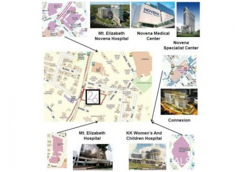 Freehold Singapore property near orchard road