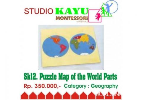 Puzzle Map of the World Parts