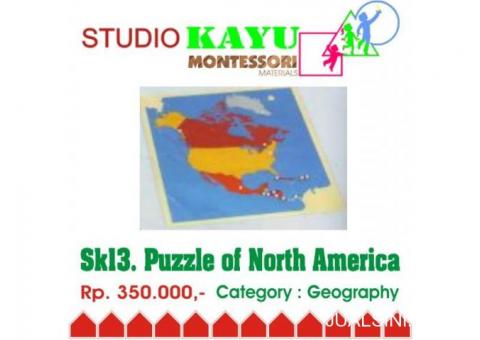 Puzzle Map of North America
